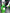 HYD0007 - Electric Forklift 3m - 1 Ton