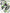 WDN0003 - Bordatrice Automatica Compatta